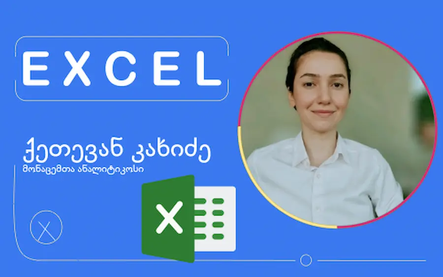 ექსელის პროფესიონალი